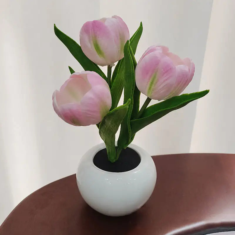 Bonsai Tulips Soothing Nightlight